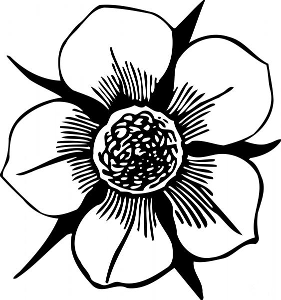 Vintage Flower coloring page image