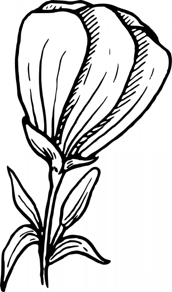 Vintage Flower coloring page image