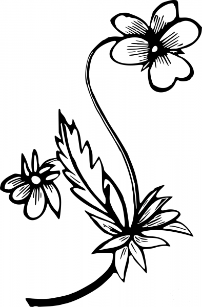 Vintage Flower coloring page image