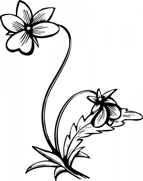 Vintage Flower coloring page image