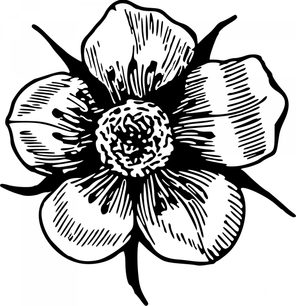 Vintage Flower coloring page image