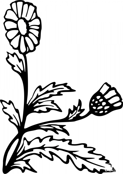 Vintage Flower coloring page image