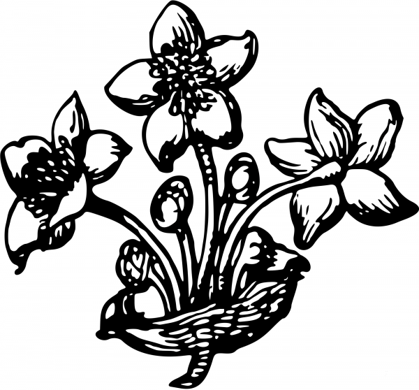Vintage Flower coloring page image