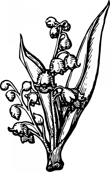 Vintage Flower coloring page image