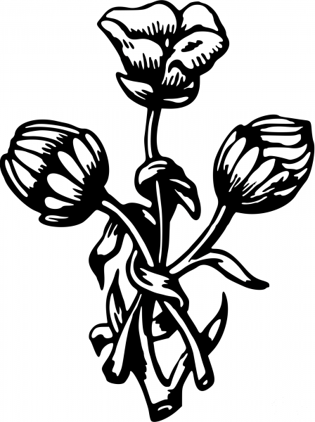 Vintage Flower coloring page image