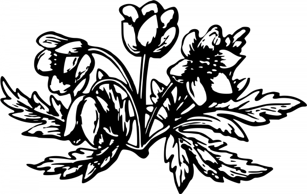 Vintage Flower coloring page image