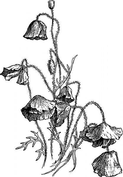 Vintage Flower coloring page image