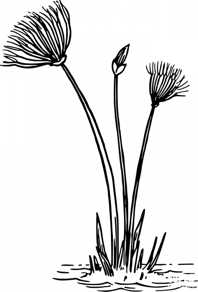Vintage Flower coloring page image