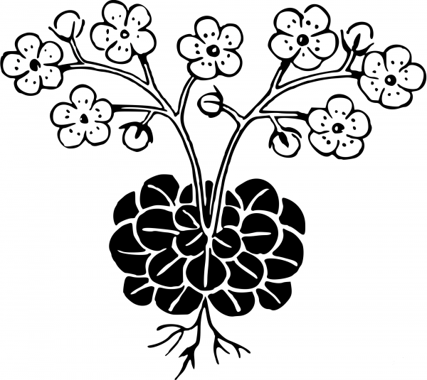 Vintage Flower coloring page image