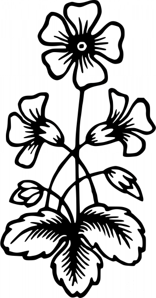 Vintage Flower coloring page image