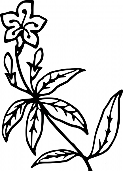 Vintage Flower coloring page image