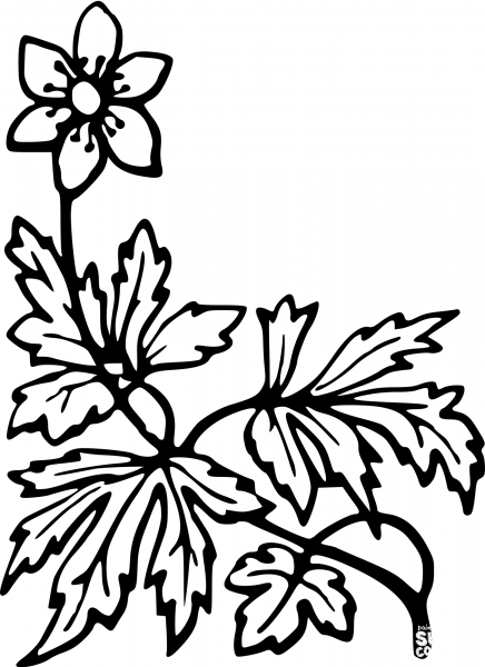 Vintage Flower coloring page image