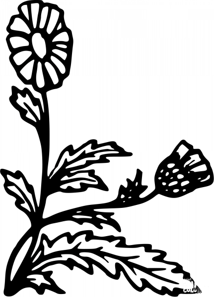 Vintage Flower coloring page image