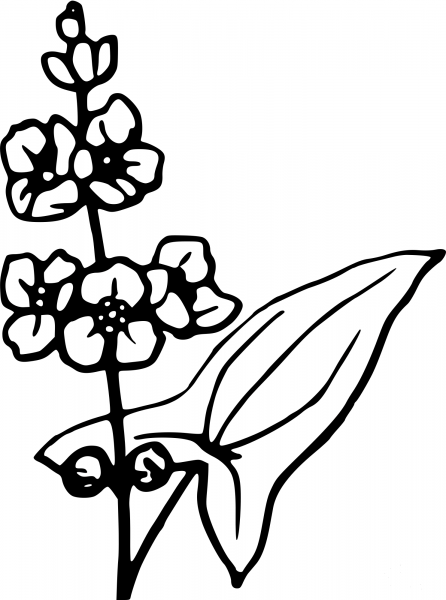 Vintage Flower coloring page image