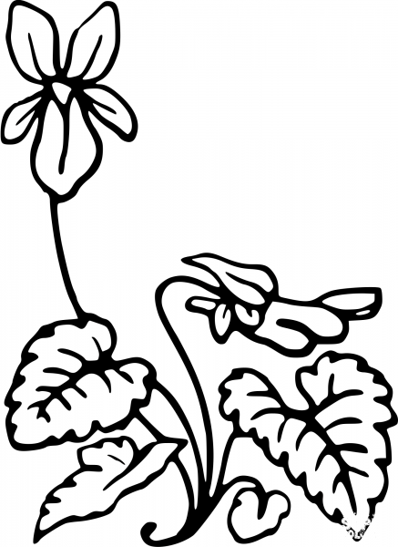 Vintage Flower coloring page image