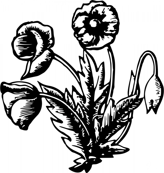 Vintage Flower coloring page image