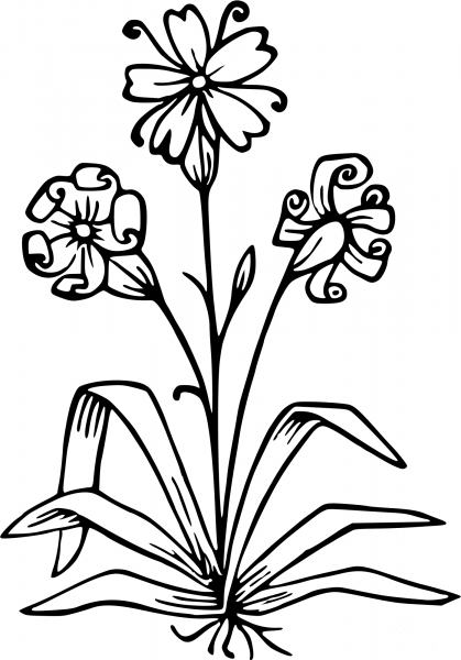 Vintage Flower coloring page image
