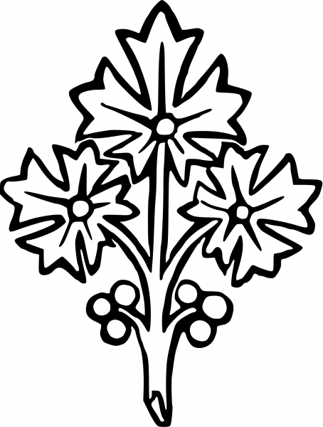 Vintage Flower coloring page image