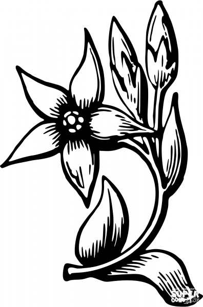Vintage Flower coloring page image