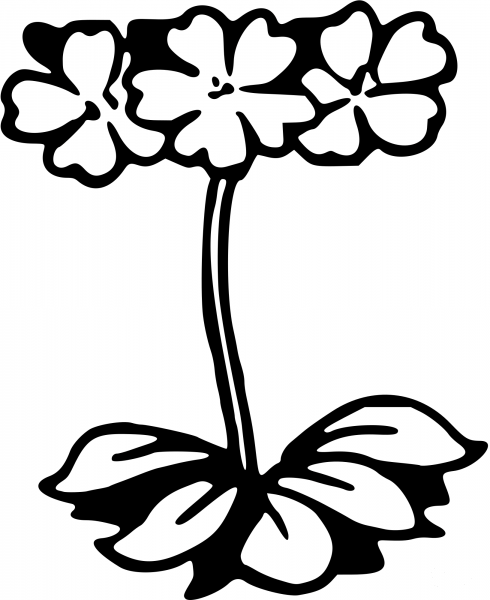 Vintage Flower coloring page image