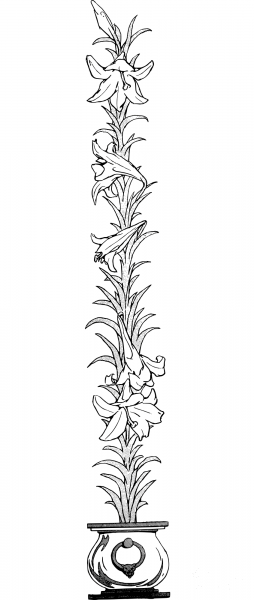 Vintage Flower Divider Bar coloring page image