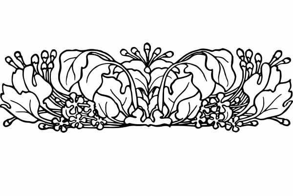 Vintage Flower Doodah Divider coloring page image