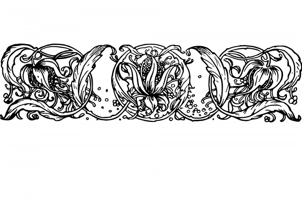 Vintage Flower Doodah Divider coloring page image