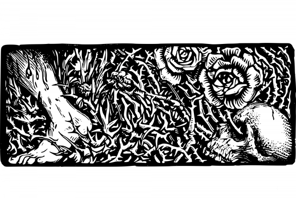 Vintage Flower Doodah Divider coloring page image