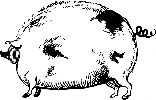 Vintage Freaky Pig coloring page image