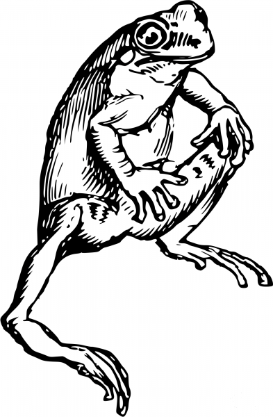 Vintage Frog coloring page image
