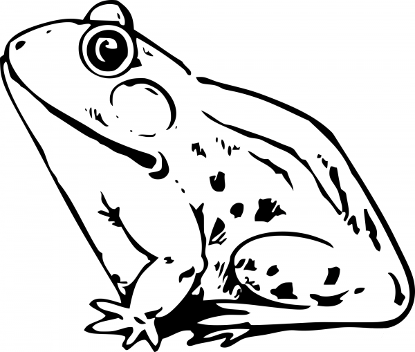 Vintage Frog coloring page image