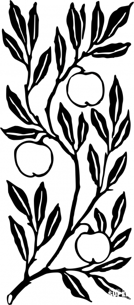 Vintage Fruit on a Branch coloring page image