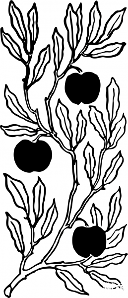 Vintage Fruit on a Branch coloring page image