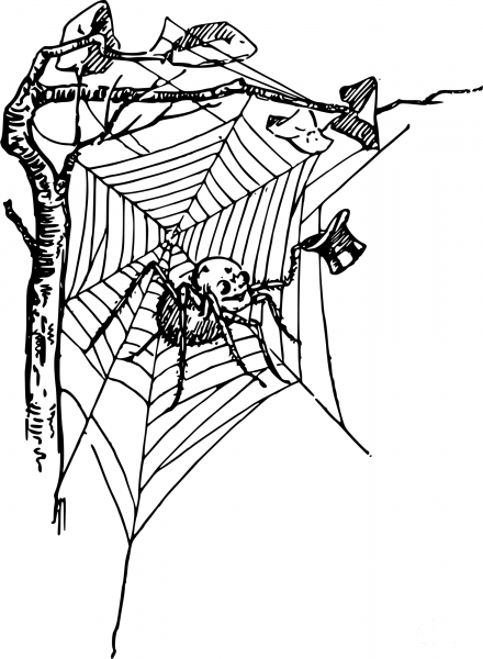 Vintage Gentleman Spider coloring page image