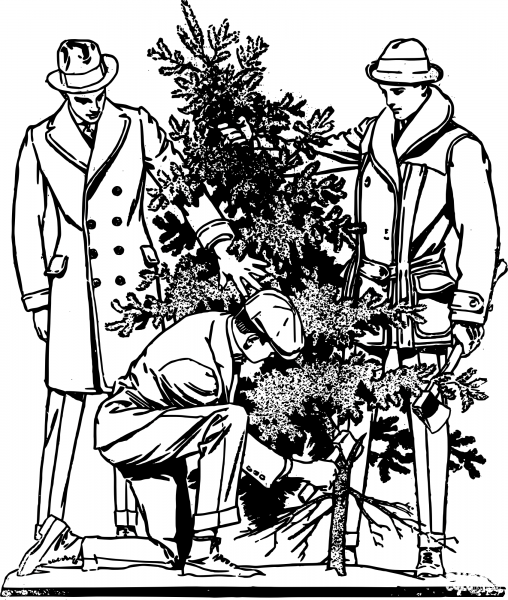 Vintage Get the Tree coloring page image