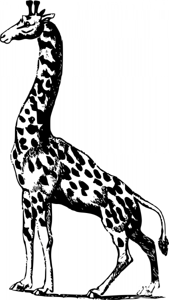 Vintage Giraffe coloring page image