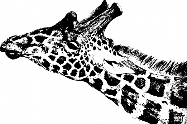 Vintage Giraffe Head coloring page image