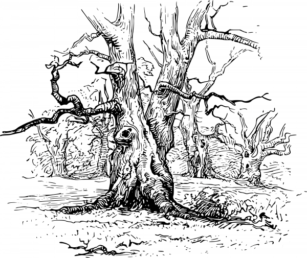 Vintage Gnarly Oaks coloring page image