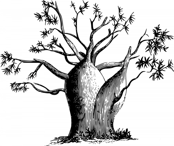Vintage Goutystem Tree coloring page image