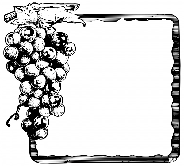 Vintage Grapes Square Frame coloring page image