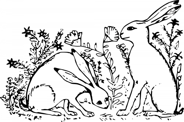 Vintage Hares coloring page image