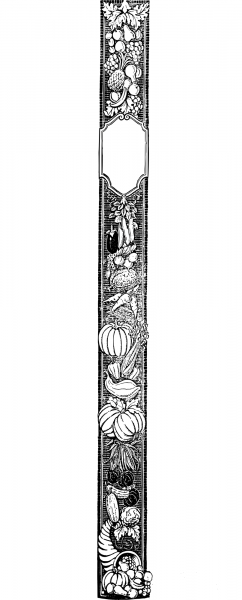 Vintage Harvest Divider coloring page image