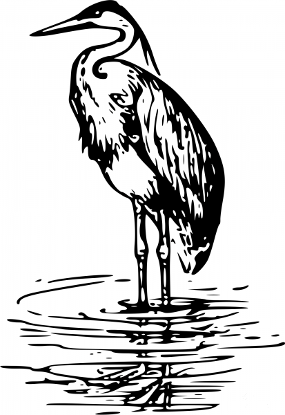 Vintage Heron coloring page image