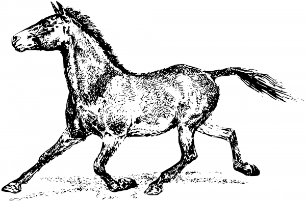 Vintage Horse coloring page image