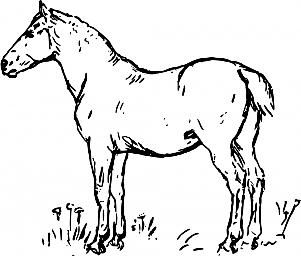 Vintage Horse coloring page image