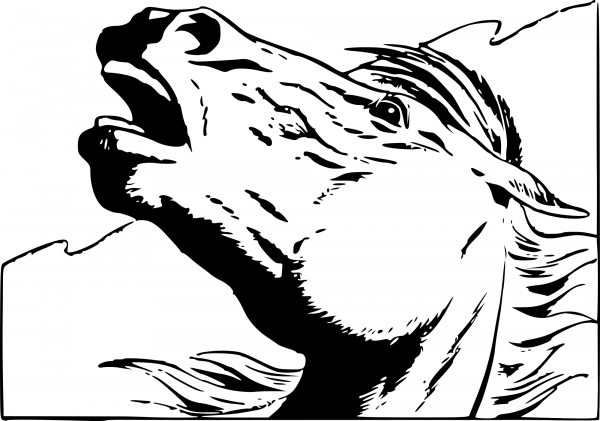 Vintage Horse in Panic coloring page image