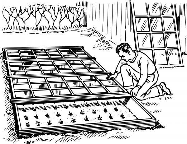 Vintage Hotbed coloring page image