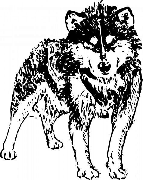 Vintage Husky coloring page image