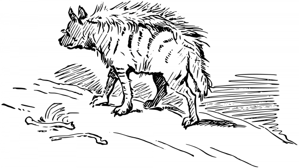 Vintage Hyena coloring page image