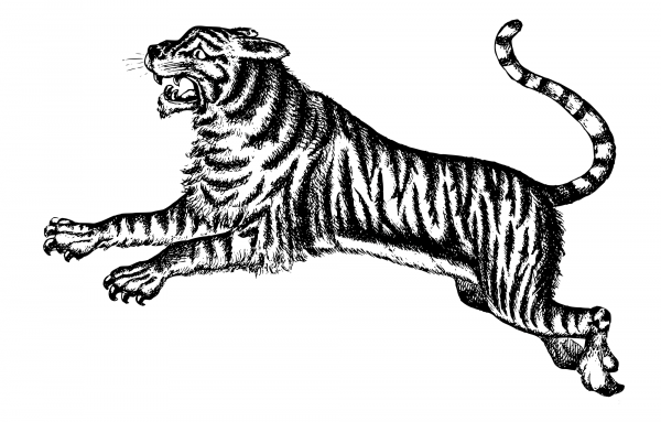 Vintage Jumping Tiger coloring page image